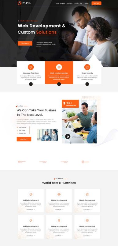 网络开发IT服务公司前端静态网站模板-源码分享网