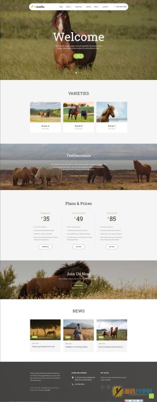 织梦dedecms响应式马匹饲养养殖场养马场畜牧业网站模板 自适应手机端-源码分享网