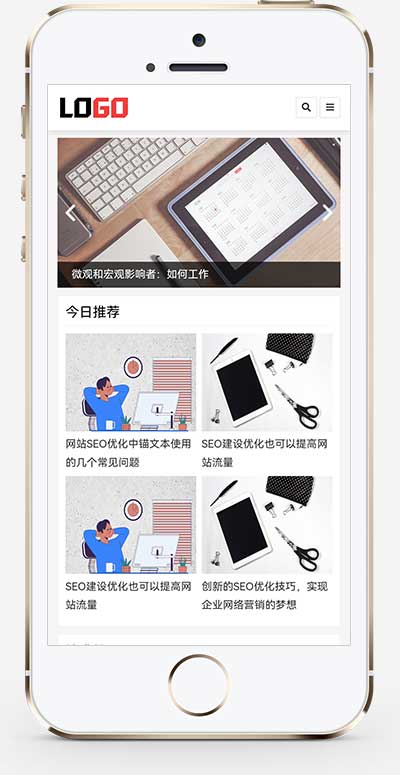 (自适应手机端)seo优化博客网站模板-带文章评论功能-源码分享网