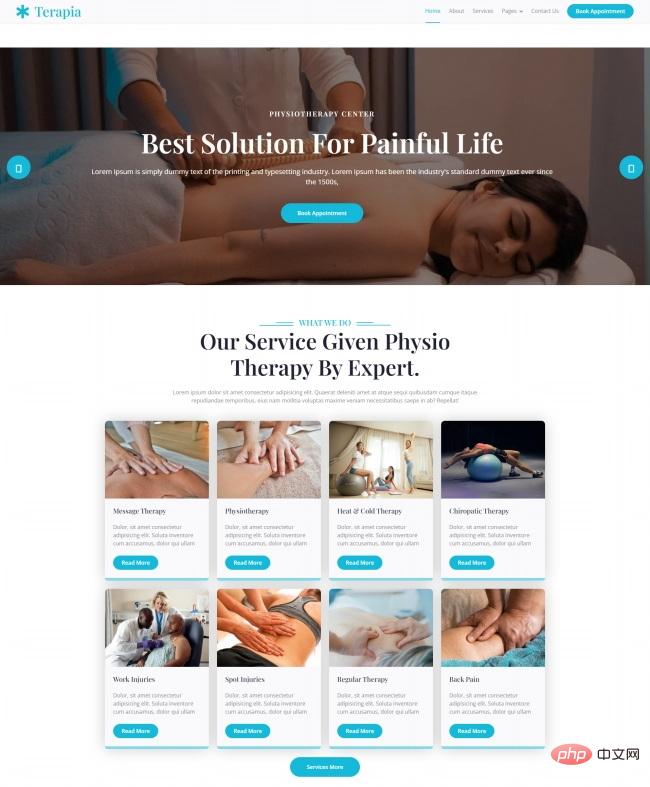 HTML5理疗服务网站模板-源码分享网