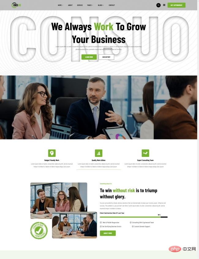 战略营销咨询服务公司网站模板-源码分享网