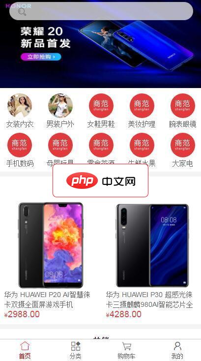 shangfan(商范商城H5+PC)-源码分享网