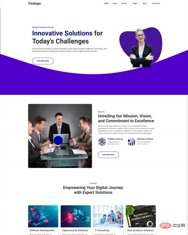 IT解决方案提供商网站模板-源码分享网
