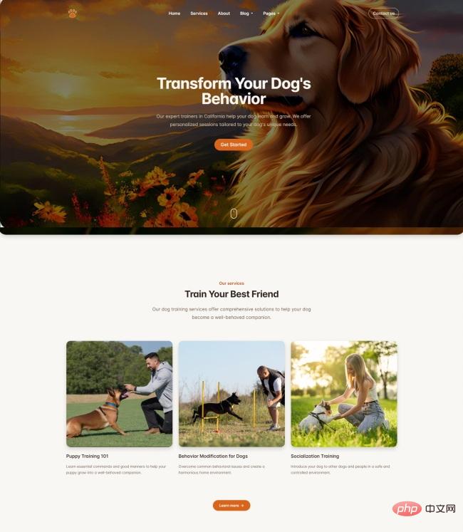 犬类护理服务机构网站模板-源码分享网