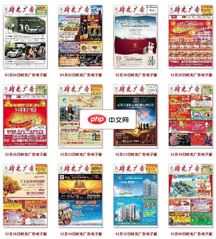 DM6在线读报系统-源码分享网