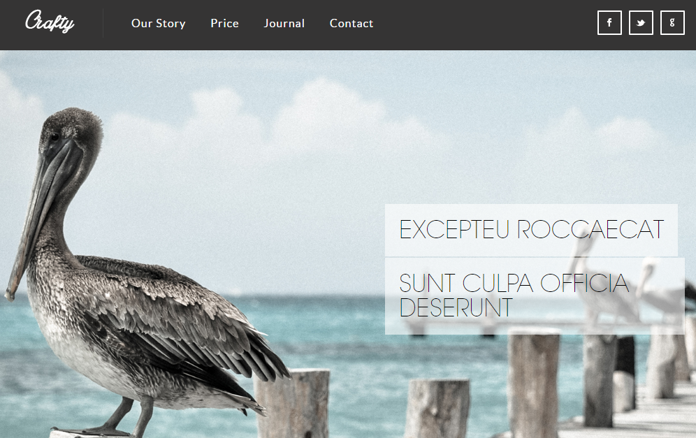 响应式网站模板