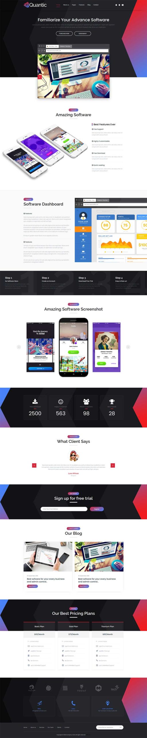 软件开发设计服务公司网站模板-源码分享网