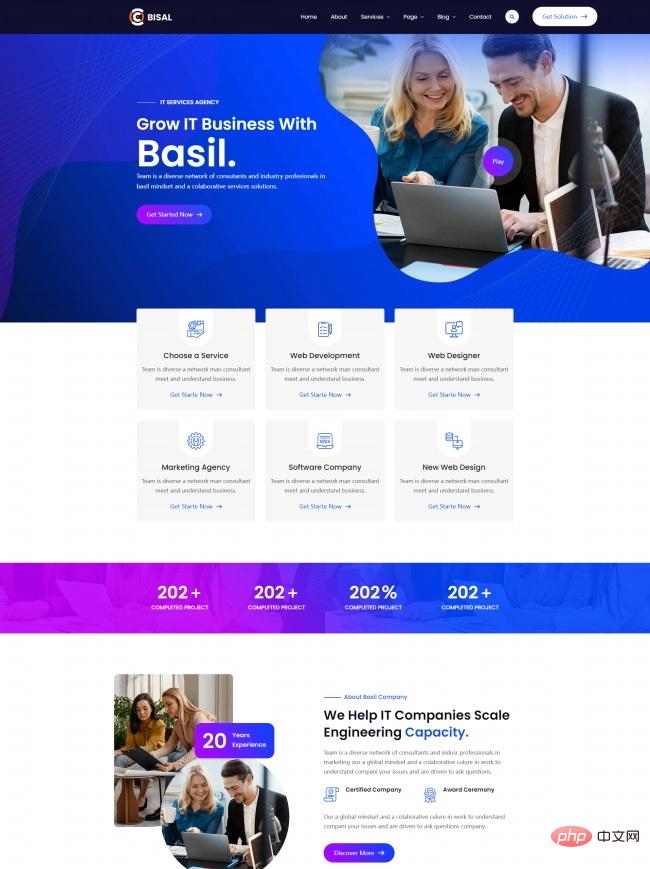 IT业务服务公司网站模板-源码分享网