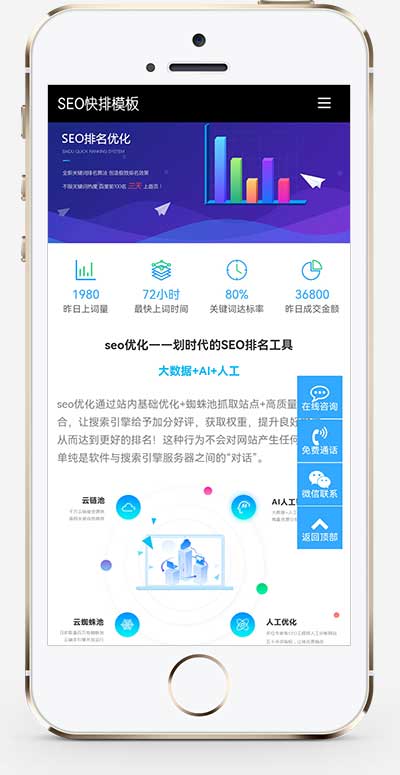 (自适应移动端)seo快排网站pbootcms模板 大气的IT网络软件公司网站源码下载-源码分享网