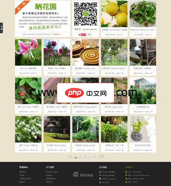 wordpress主题:图片展示