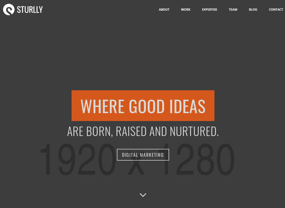 HTML5单页多用途模板-源码分享网