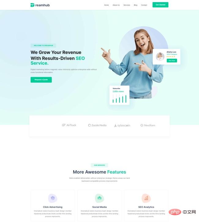 SEO服务优化机构宣传网站模板-源码分享网