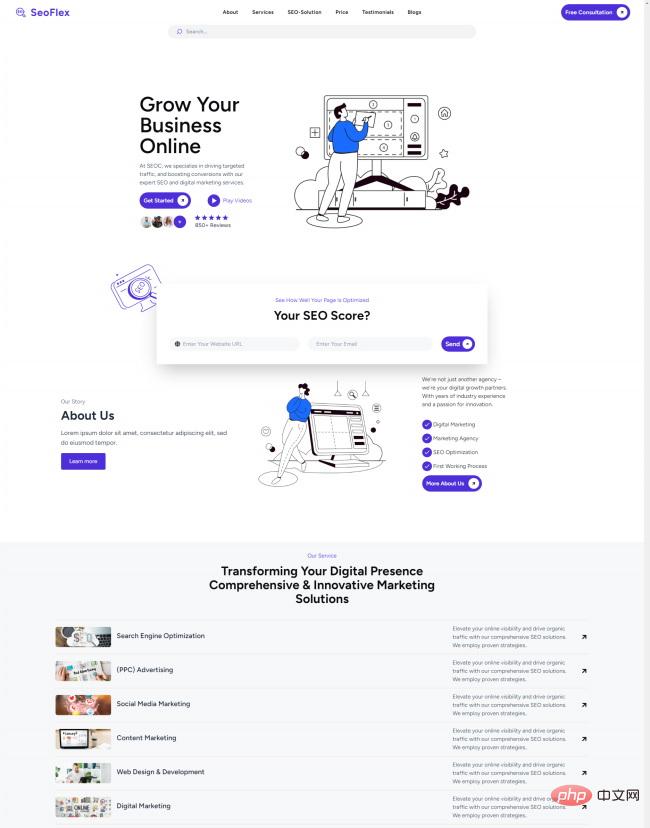 现代SEO数字营销服务网站模板