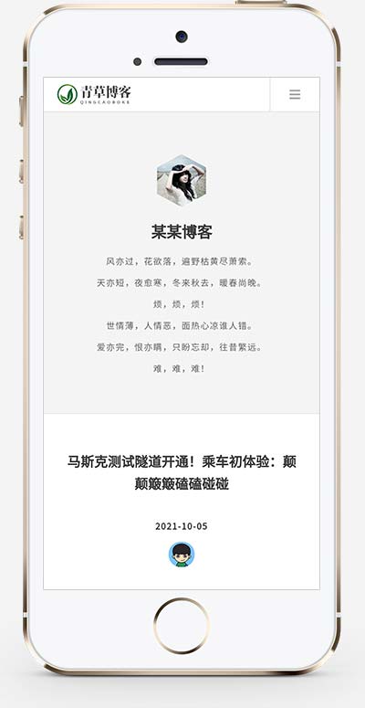 (自适应手机版)极简个人博客文章自媒体网站模板-源码分享网