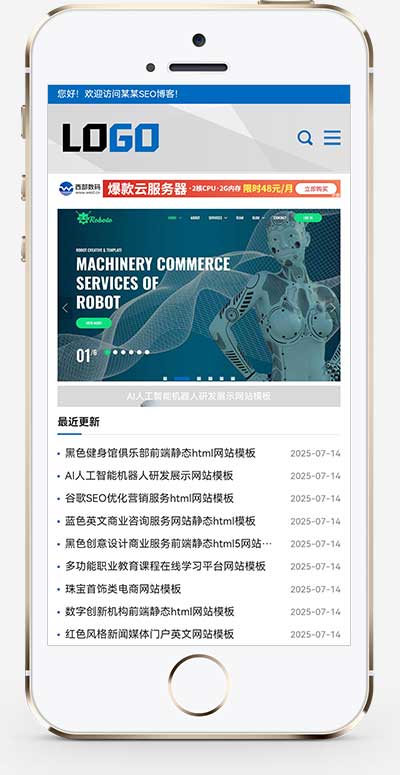(自适应手机端)网站优化SEO博客类网站模板-带广告位-源码分享网