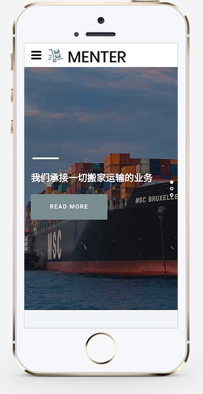 (自适应手机版)宽屏大气的搬家快递公司网站模板-源码分享网