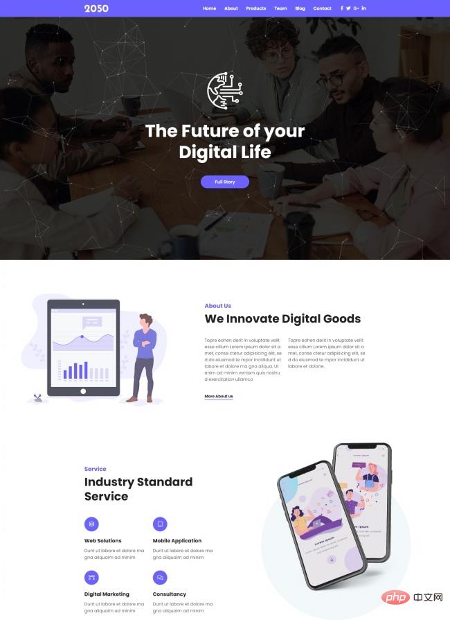 HTML5数字产品服务公司网站模板-源码分享网