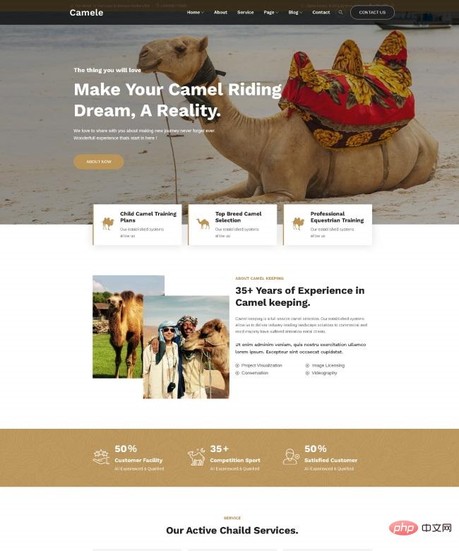骆驼饲养服务网站模板-源码分享网