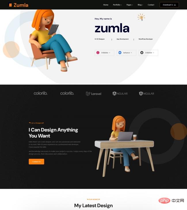 高级程序设计师简历网页模板-源码分享网