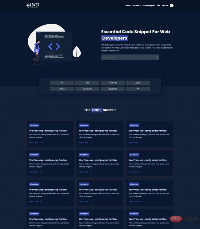 代码开发商宣传服务网站模板-源码分享网