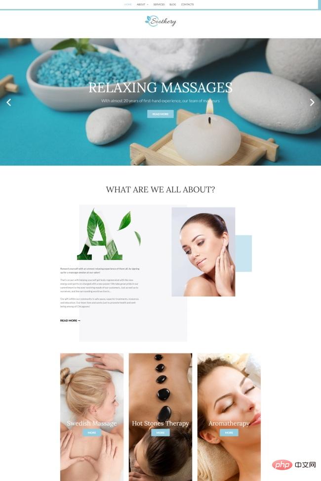 SPA美容服务中心响应式网站模板