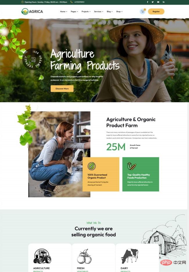 有机食品农产品农业网站模板-源码分享网