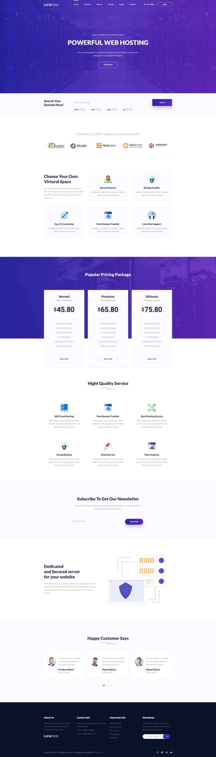 紫色的虚拟主机域名托管服务网站模板-源码分享网