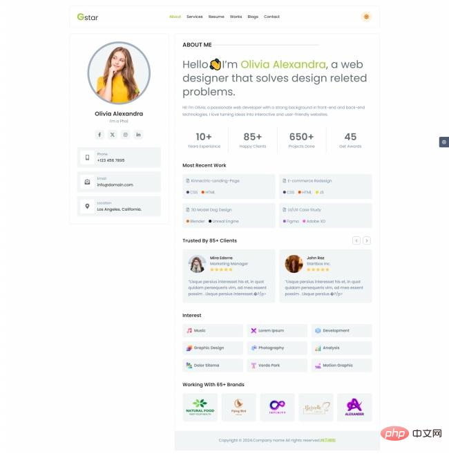 网页设计师作品简历展示网站模板