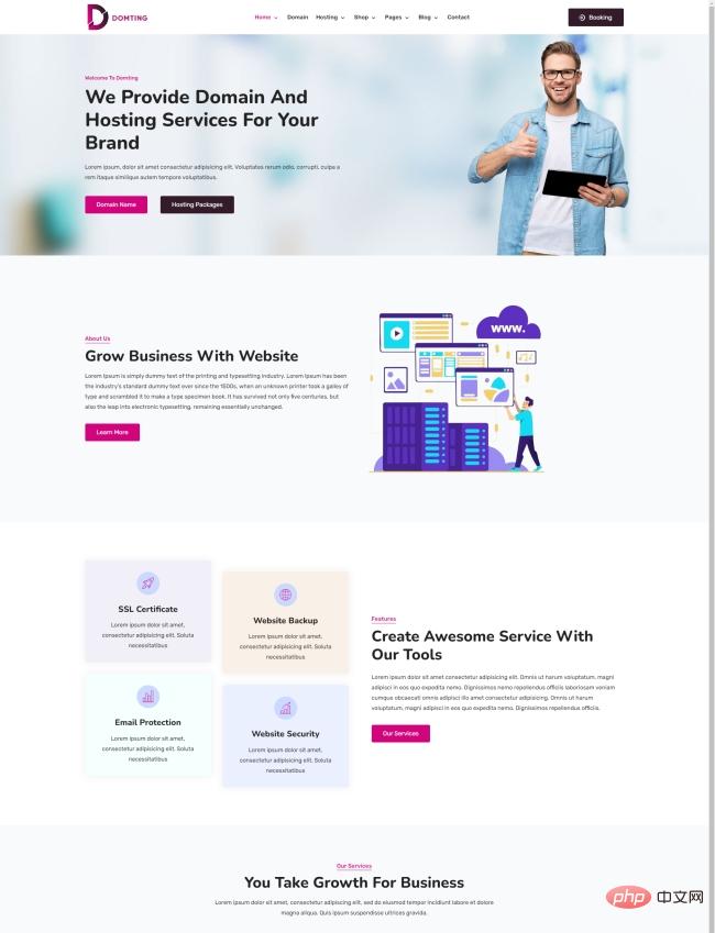 互联网域名托管服务网站模板-源码分享网